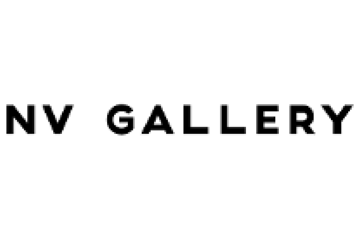 nv gallery logotipo